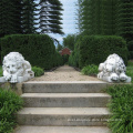 Custom carved life size white  stone animal sculpture marble guardian lion statues